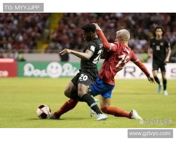 武汉羽毛球队在世界杯背景下的转型与崛起之路探秘