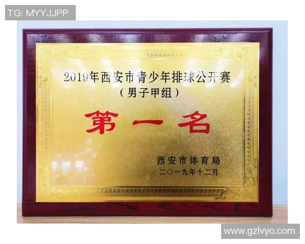 深圳排球队在全国排球耐力排行榜中荣获第九名的佳绩分析