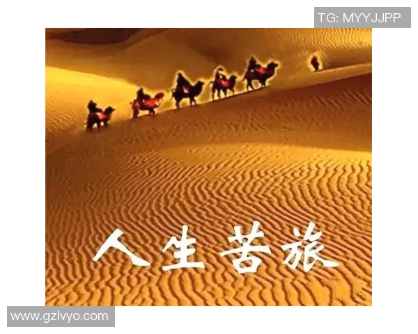 深度对话:李伟如何在足球旅程中追寻梦想与挑战