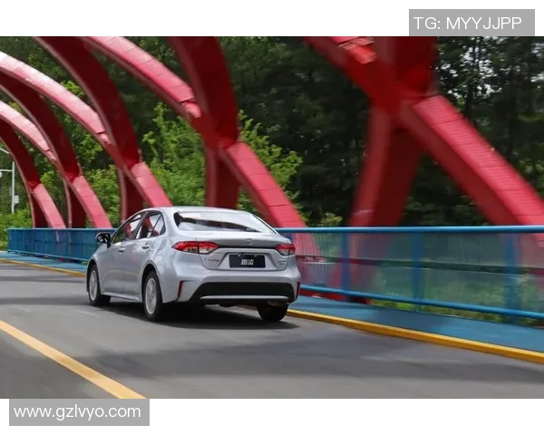 赛后复盘：西安极限运动队 vs 深圳极限运动队的耐力